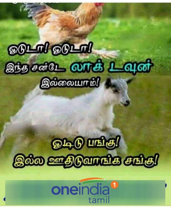 Funny memes collection on sunday 30.01.2022