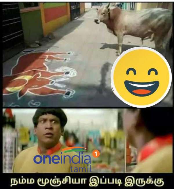 Pongal memes: Funny memes collection on mattu Pongal kolam
