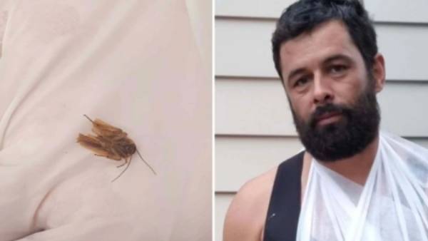 நிம்மதியாக வீடு திரும்பிய ஜனே 