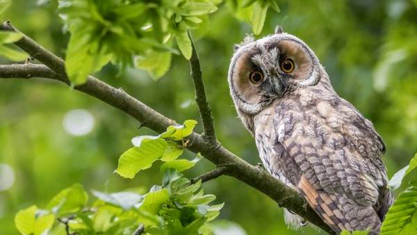 இணையத்தில் வைரல் 