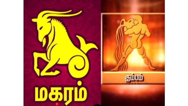 மகரம், கும்பம் 