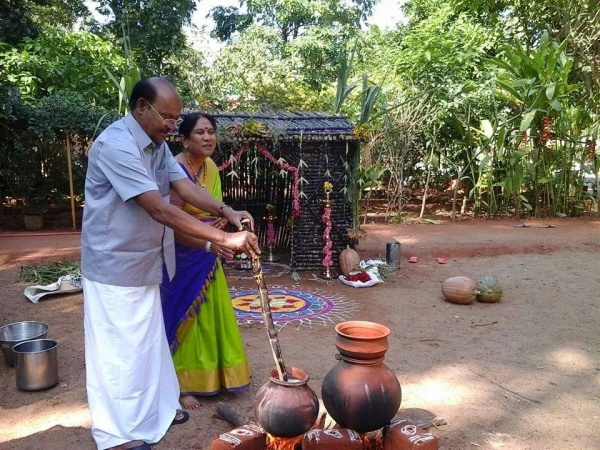 பொங்கல் விழா 