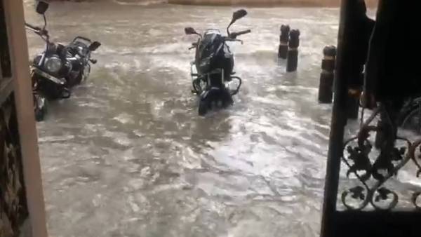 நீரில் மூழ்கிய நெற்கதிர்கள் 