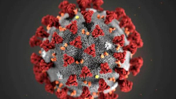 உயிரிழக்கும் நோயாளிகள் 