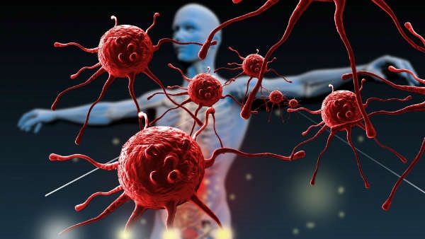 ஆய்வுகள்