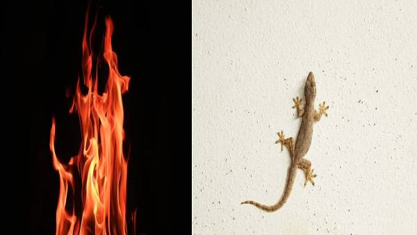  தீக்குளிப்பு 