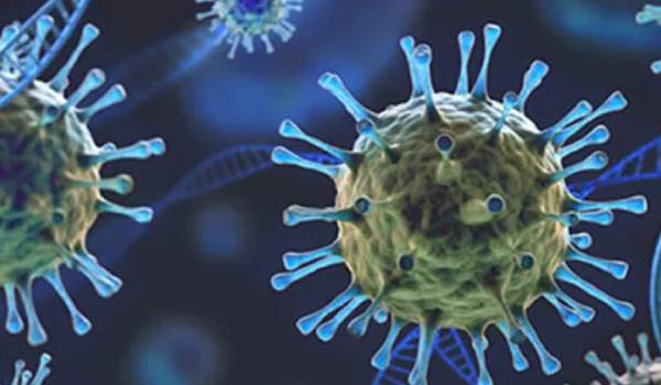 அமெரிக்கா