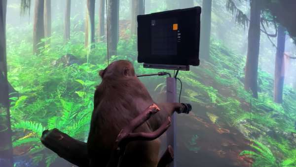 முக்கிய அம்சம் 