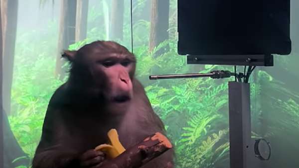 நியூராலிங்க் 