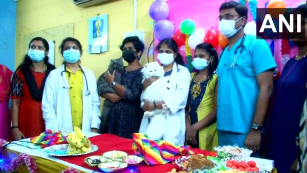 வளையல்கள் அணிவிப்பு