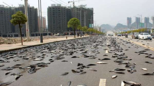 மக்கள் திகைப்பு மக்கள் திகைப்பு