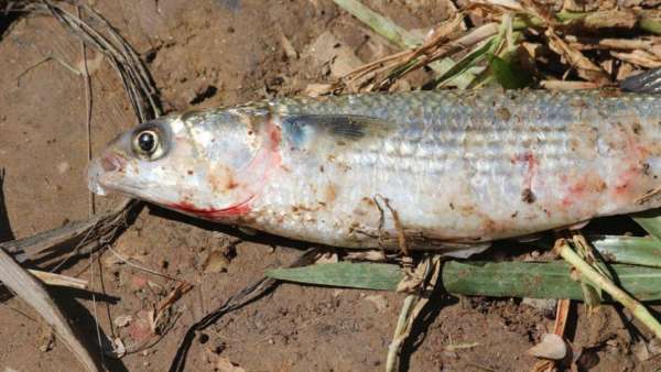 மக்களுக்கு சுகாதார பிரச்சினை மக்களுக்கு சுகாதார பிரச்சினை