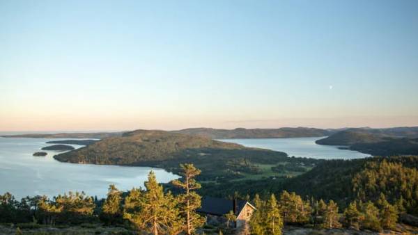 புதிய பெயர் தேவை