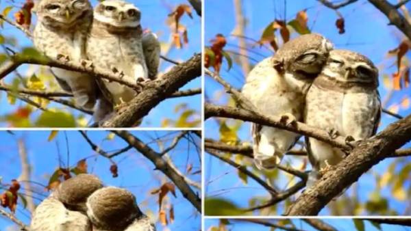  வெட்டிங் போட்டோ ஷூட் 