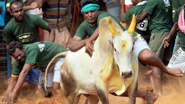 பாலமேடு