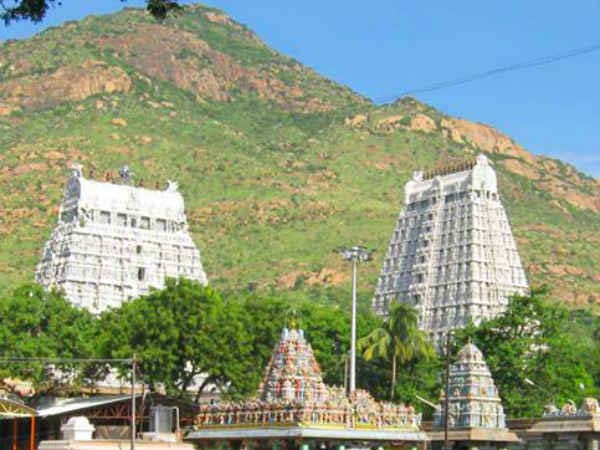 தஞ்சை நாயக்கர் மன்னர் 