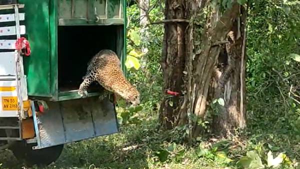 மக்கள் நிம்மதி மக்கள் நிம்மதி