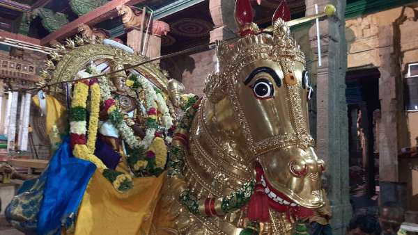 கோவிலுக்குள் தெப்பத்திருவிழா 