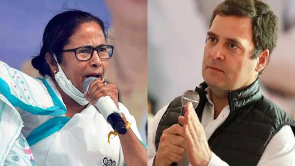 ராகுல் காந்தி ராகுல் காந்தி