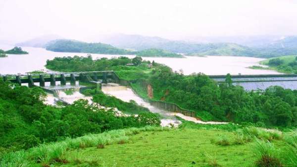 15 மரங்களை வெட்ட வேண்டும் 