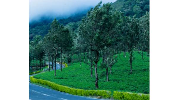 நில அபகரிப்பு 