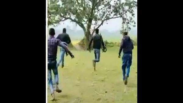 கிரிக்கெட் விளையாடினார்கள் கிரிக்கெட் விளையாடினார்கள்