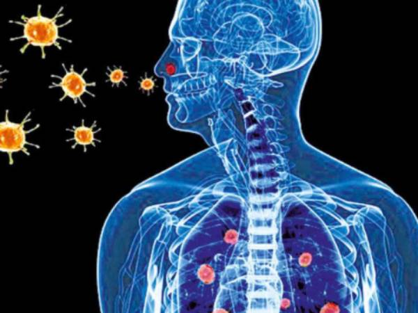 நுரையீரல்