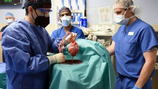  மாற்று முடிவுகள் 