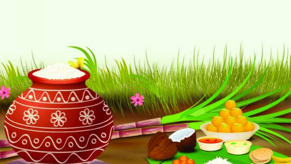 பொங்கல் என்றாலே இனிமை 