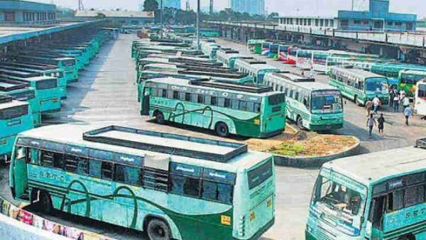  சிறப்பு பேருந்துகள்