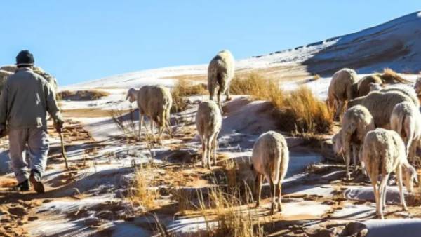  அழகான போட்டோக்கள்