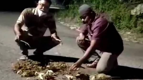 பாக்கு மரத்தட்டுகள் 