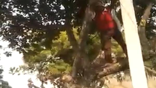  பேச்சுவார்த்தை 