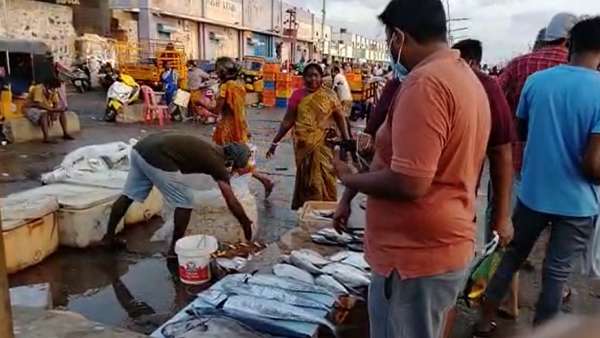 காசிமேடு 