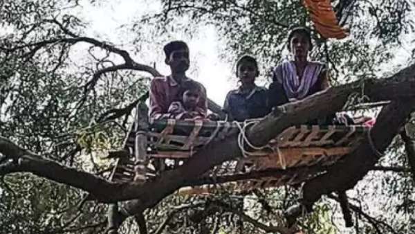  மரத்தில் ஏறிய மக்கள்