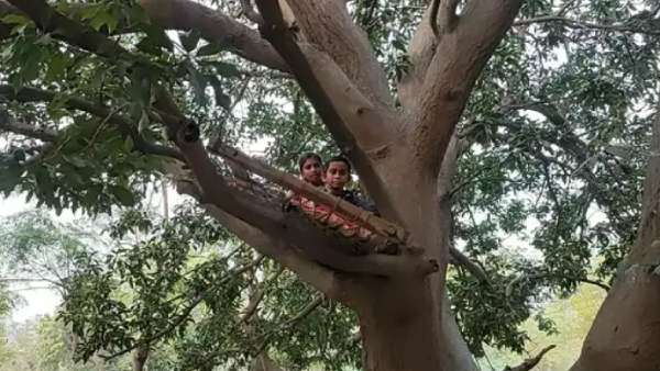  என்ன காரணம்