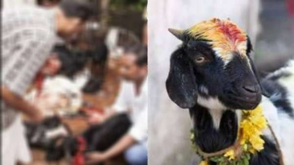 பரபரப்பு பரபரப்பு