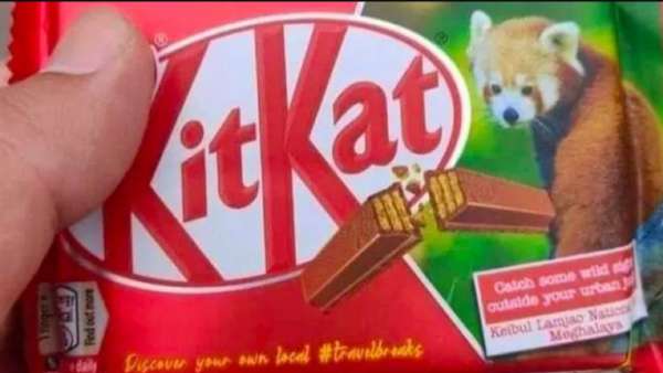  சிவப்பு பாண்டா 