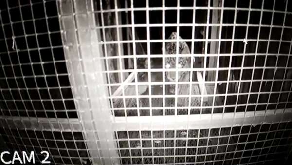  6ஆவது நாளில் சிக்கியது