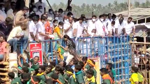 வெற்றி பெற்ற காளை 