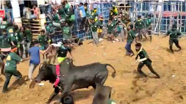 கோவையில் கலக்கிய முத்து கருப்பு