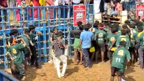 வெற்றி பெற்ற சசிகலா காளை 