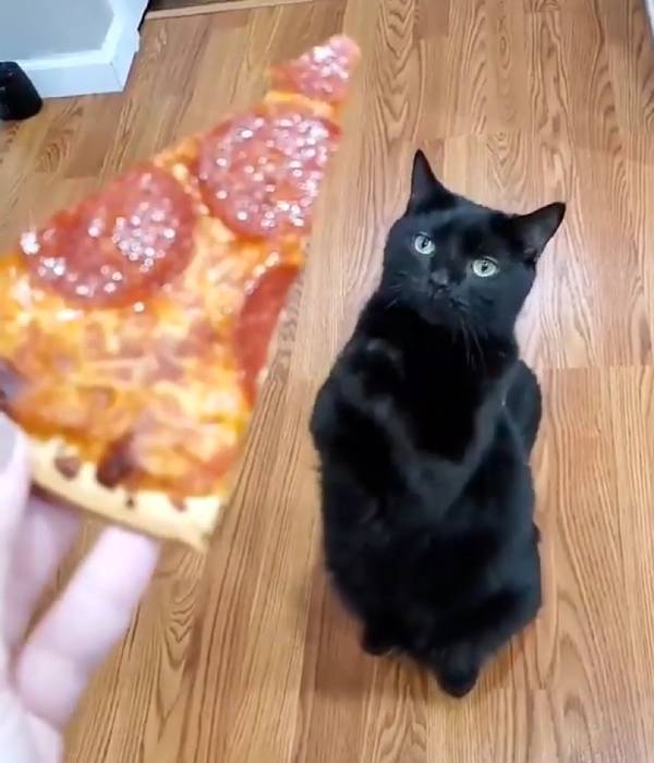 பெரியவர்கள் 