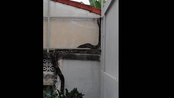 இரு சக்கர வாகனம் 