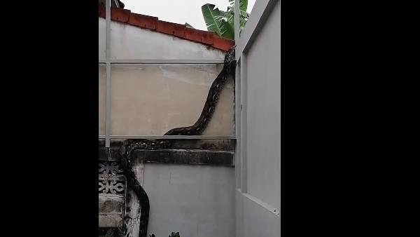 கருப்பு நிறம் 