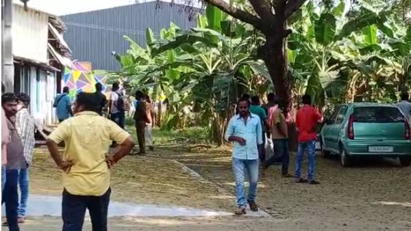 சிறுத்தை சிறுத்தை