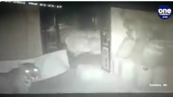 குடோனில் சிறுத்தை