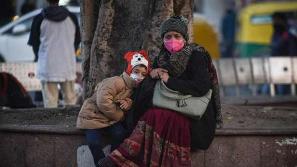 விலங்குகள்