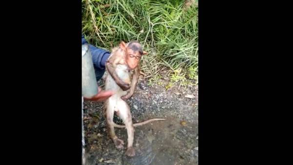  பாராட்டு