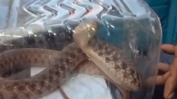 நாமக்கல் விவசாயி 